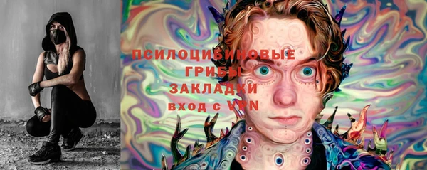 гидропоника Осинники