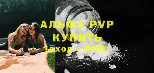 прущие грибы Котовск
