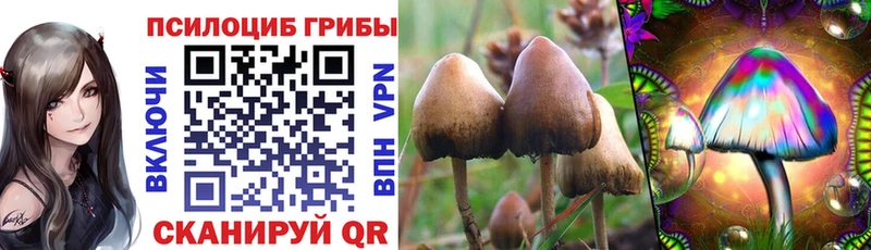 Псилоцибиновые грибы Magic Shrooms Лысково